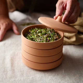 "Toni" Seed or Grain Sprouter - Sprout Your Own by Hawos
