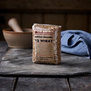 Hodmedod's Suffolk Organic YQ Wheat Grain by Hodmedod's
