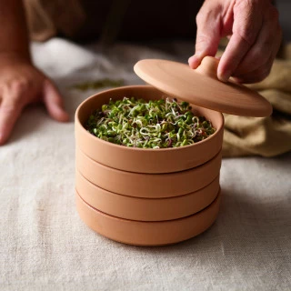 "Toni" Seed or Grain Sprouter - Sprout Your Own by Hawos
